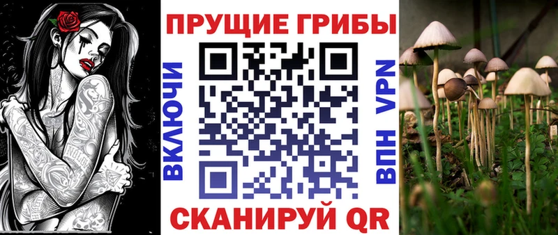 Галлюциногенные грибы прущие грибы  shop наркотические препараты  Новохопёрск 